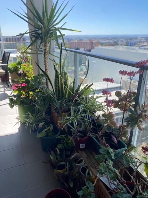 In The City Perth 1B1B Pool And Nice View Exterior foto
